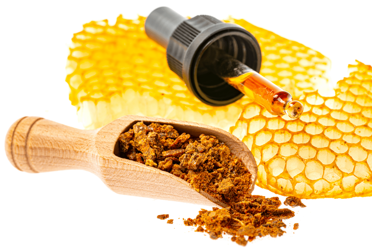 Home 3 Propolis Mizellen - VITA INVEST