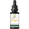 Ginger 2% MyCell 10ml 5 Ginger MyCell Naturprudukt VITA INVEST