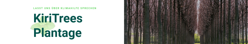 KiriTrees - Banner