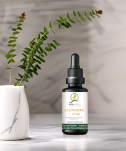 Spermidine L Vital 10ml MyCell 7 Spermidin L Vital für die Zelle - VITA INVEST